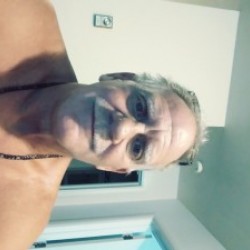 1963dz, United States