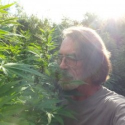 HarryPothead, Montrose, United States