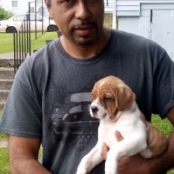 Rigo1623, Willimantic, United States