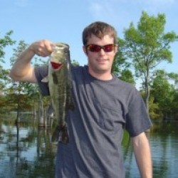 sdh1515, Rogers, United States