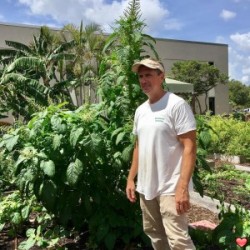 notes69, Jupiter, United States notes69, Jupiter, United States