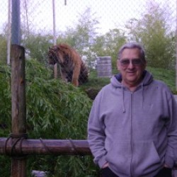 pnwhappycamper, Tacoma, United States